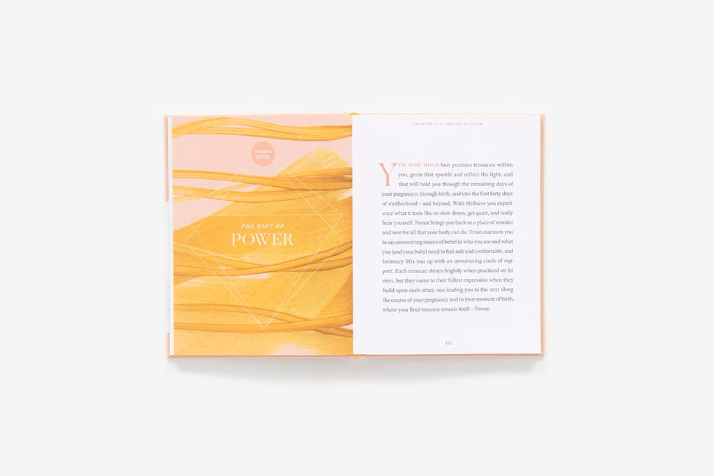 Nine Golden Months Cook Book: The Essential Art of Nurturing the Mother-To-Be