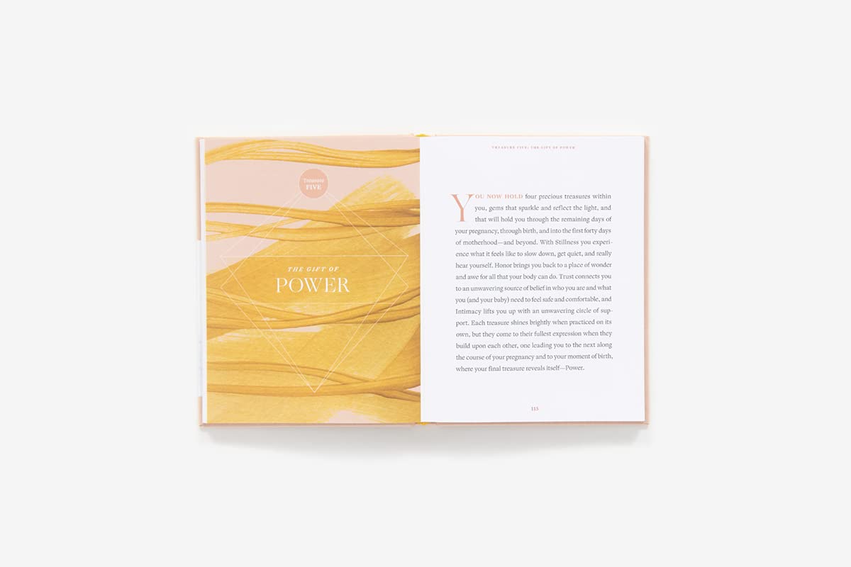 Nine Golden Months Cook Book: The Essential Art of Nurturing the Mother-To-Be