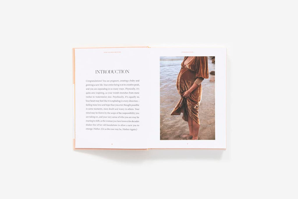 Nine Golden Months Cook Book: The Essential Art of Nurturing the Mother-To-Be