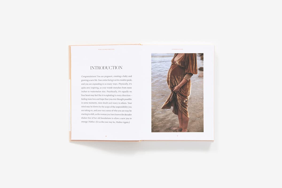 Nine Golden Months Cook Book: The Essential Art of Nurturing the Mother-To-Be