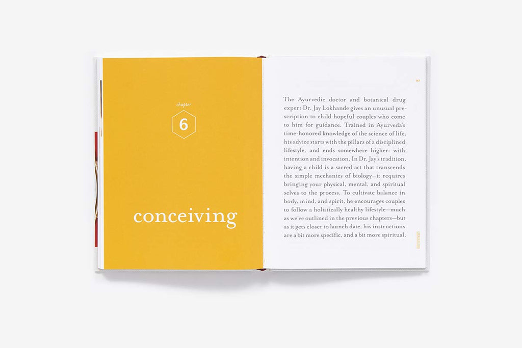 Awakening Fertility: The Essential Art of Preparing for Pregnancy