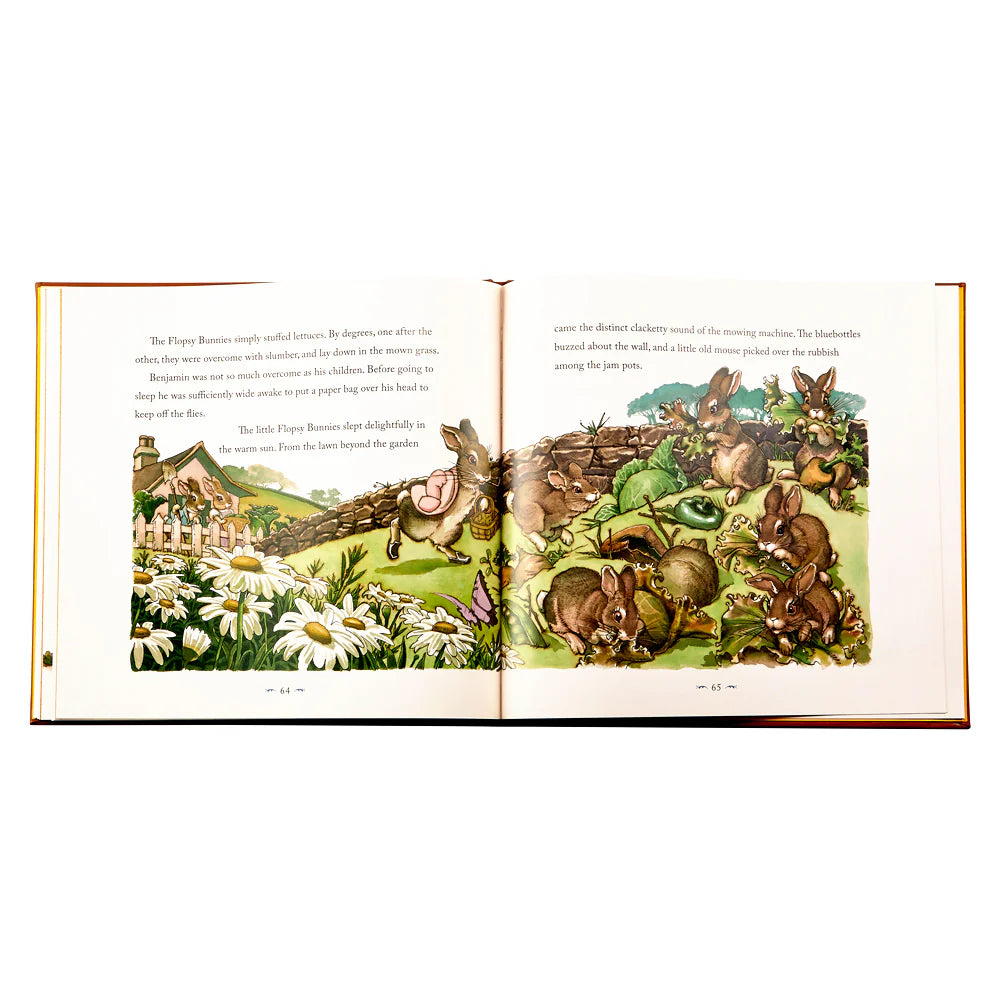 The Classic Tale of Peter Rabbit Leather-Bound Hardback Book