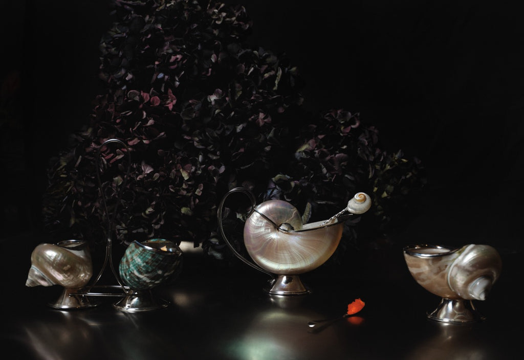 Turbo Shell Sugar Bowl