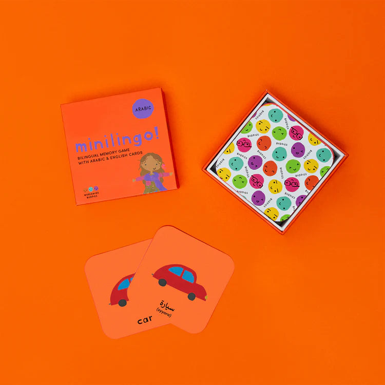Minilingo Flashcards