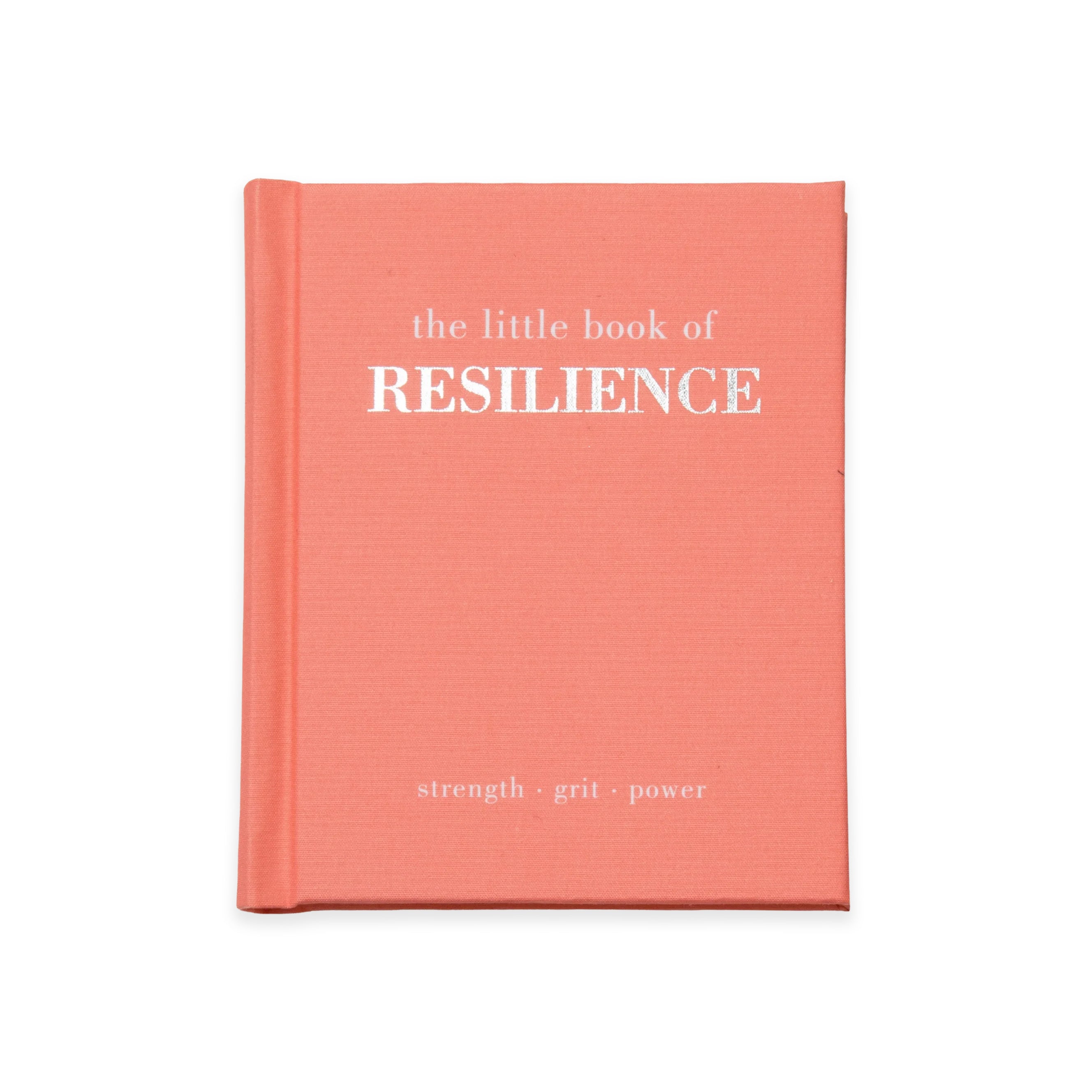 The Little Book of Resilience