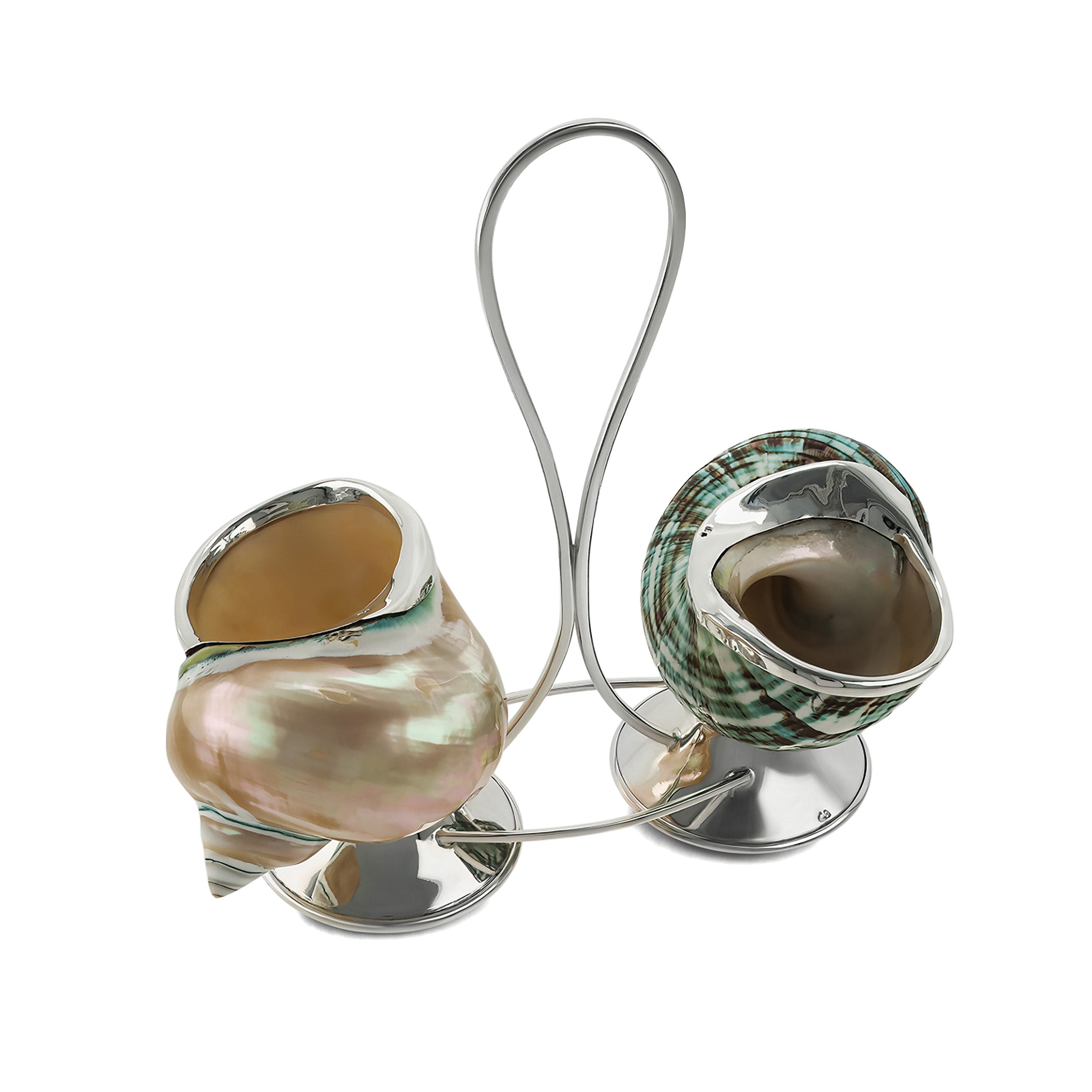Turbo Shell & Silver Salt/Pepper Shaker