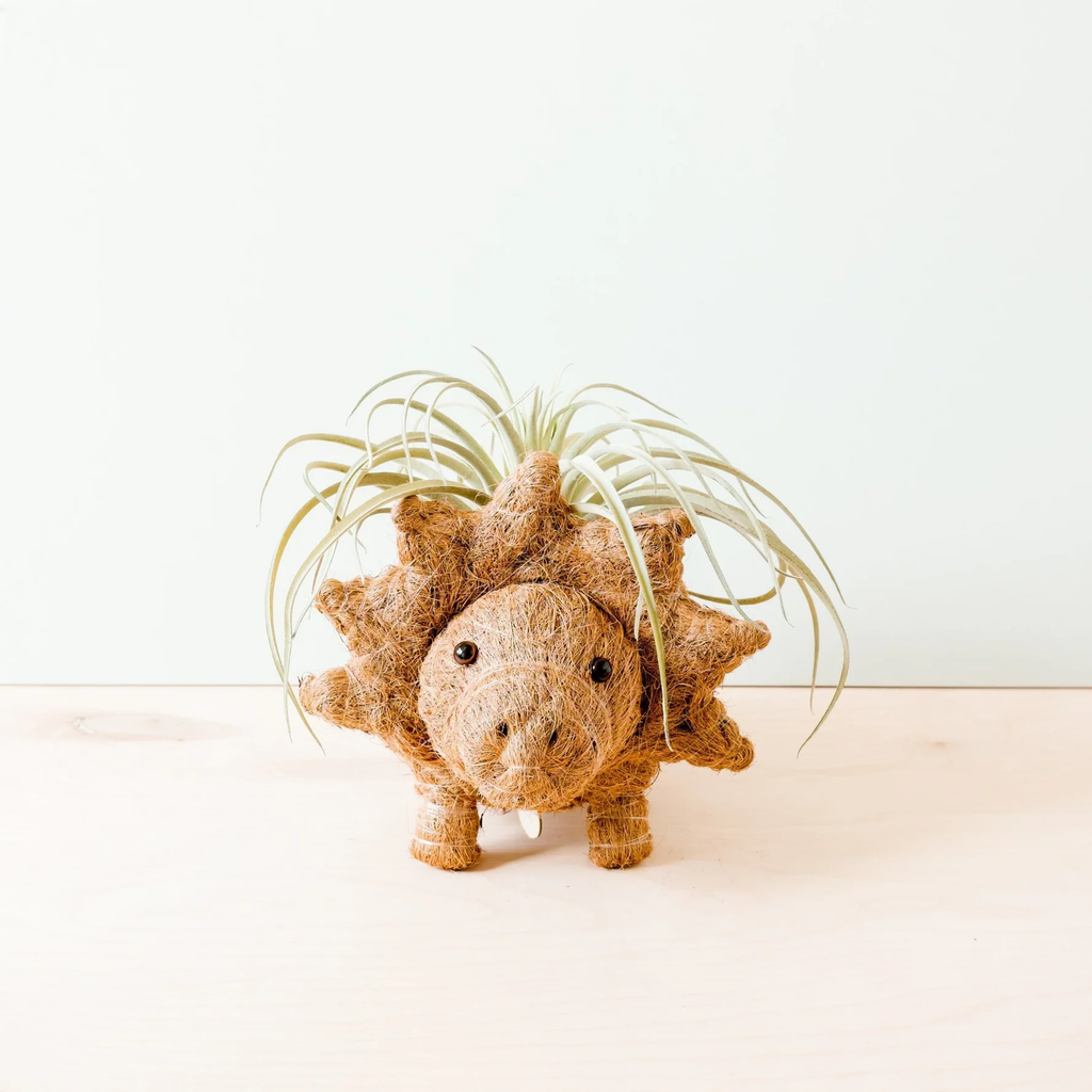 Handcrafted Triceratops Animal Planter