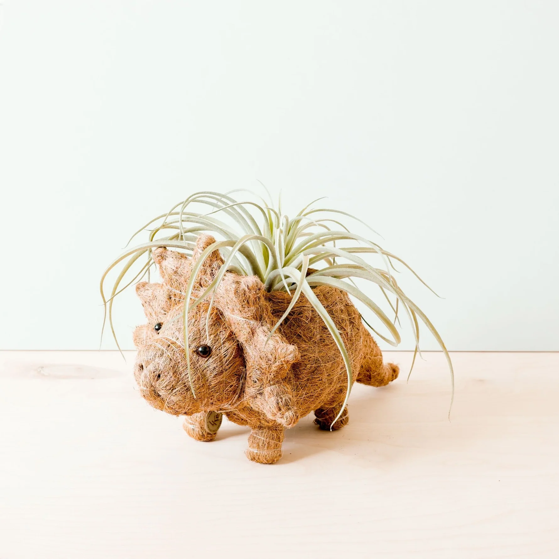 Handcrafted Triceratops Animal Planter