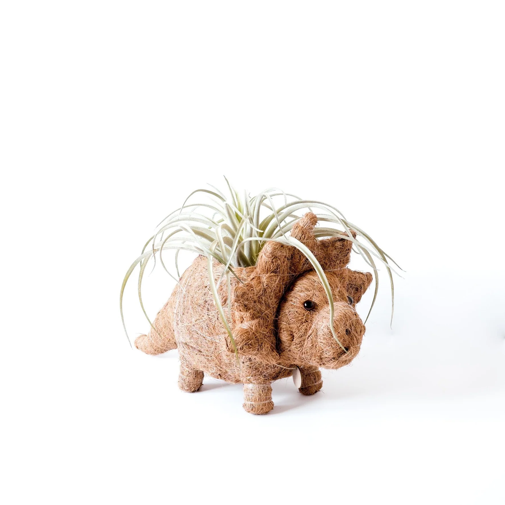 Handcrafted Triceratops Animal Planter