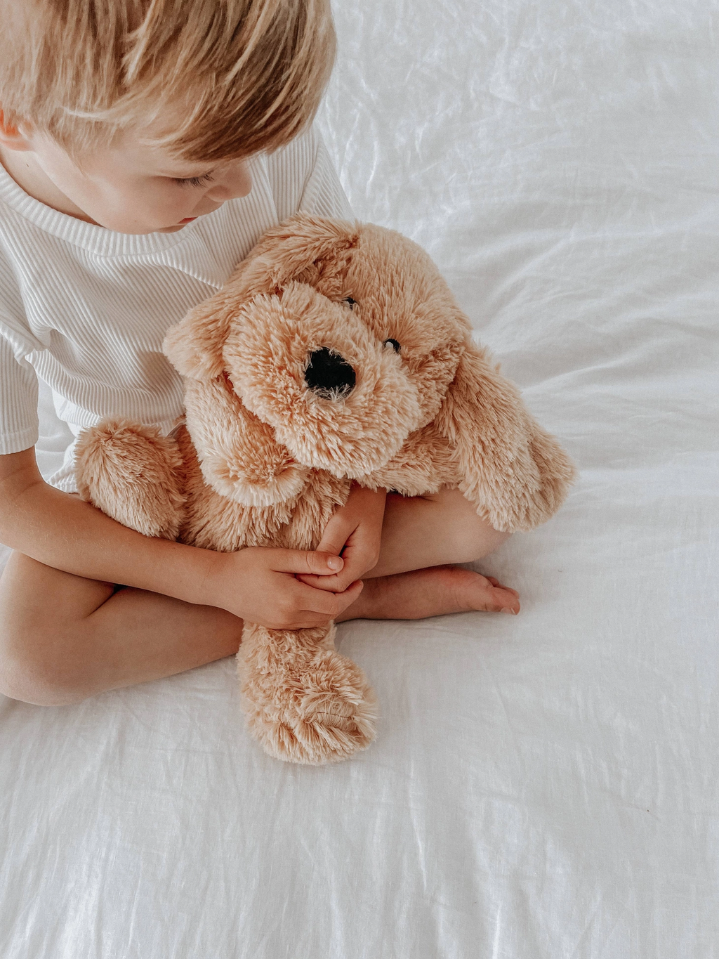 Charlie the Puppy Weighted Stuffed Toy