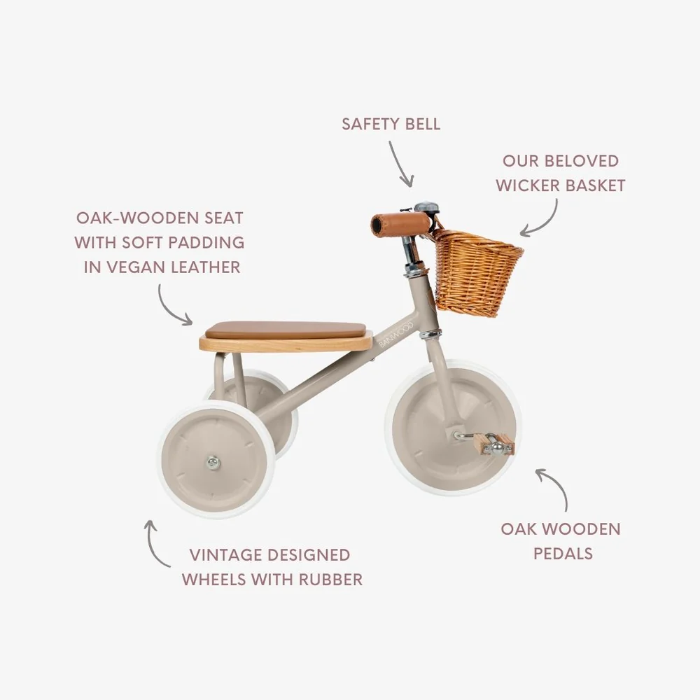 Toddler Vintage Trike