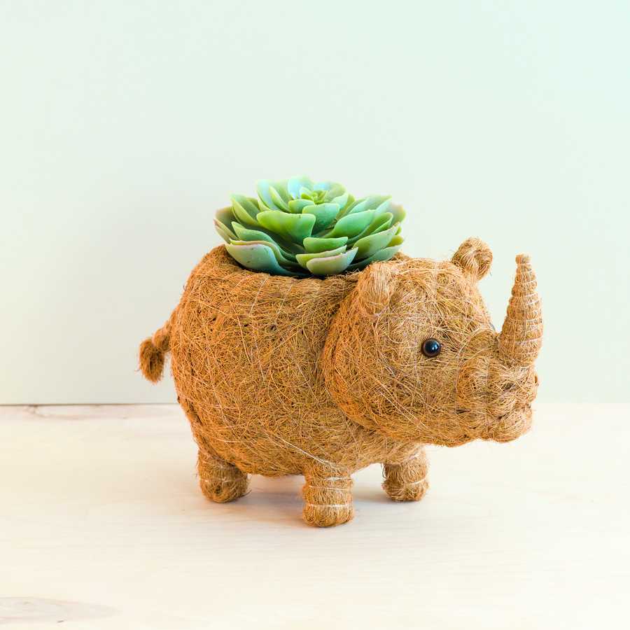 Handcrafted Rhino Animal Planter