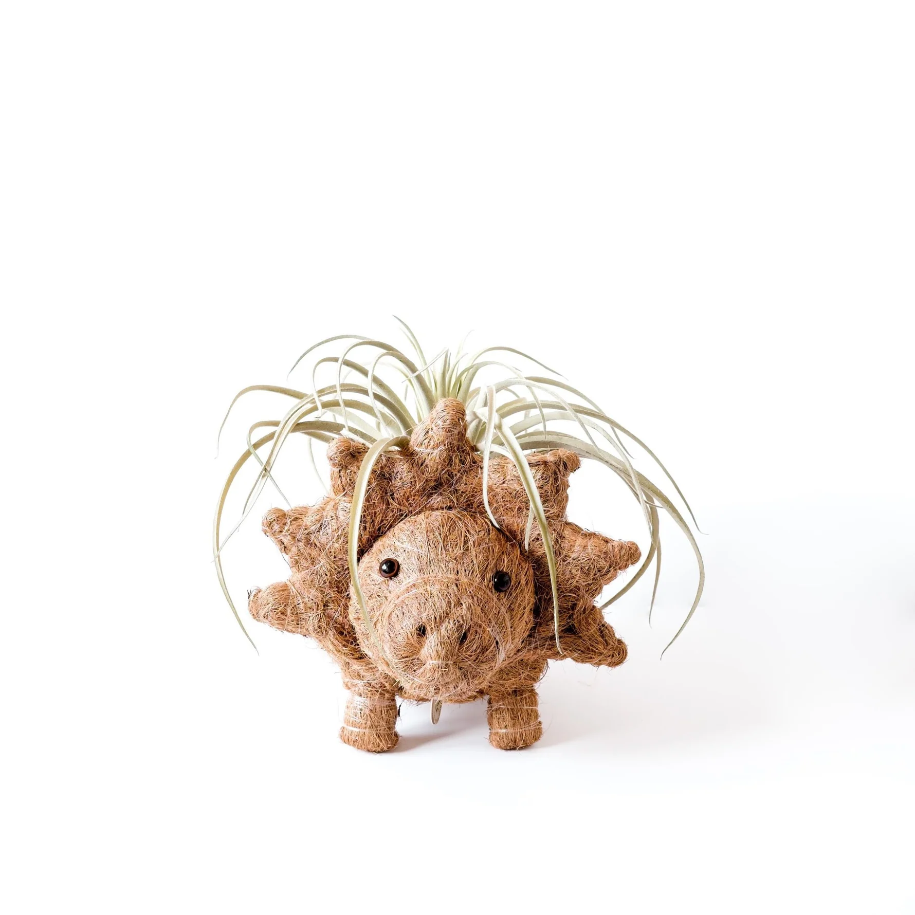 Handcrafted Triceratops Animal Planter