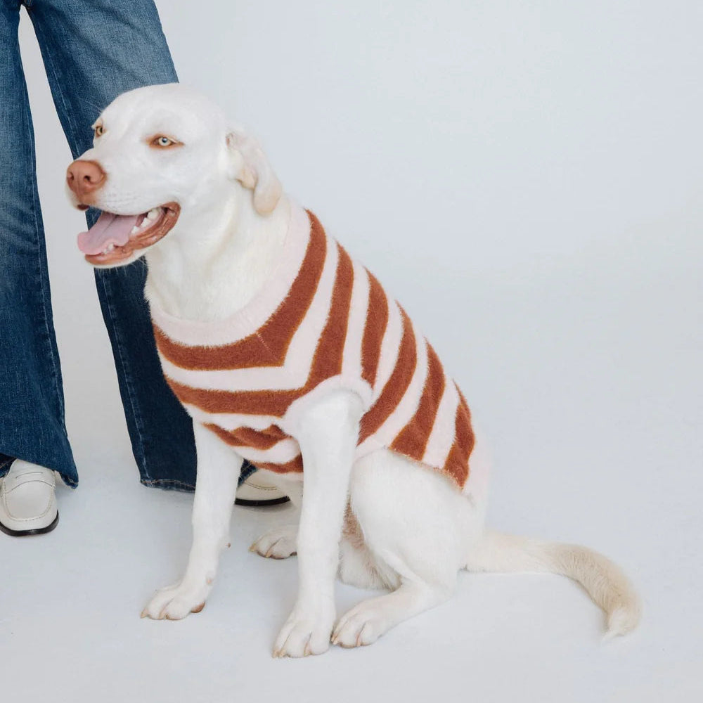 Fuzzy Dog Sweater