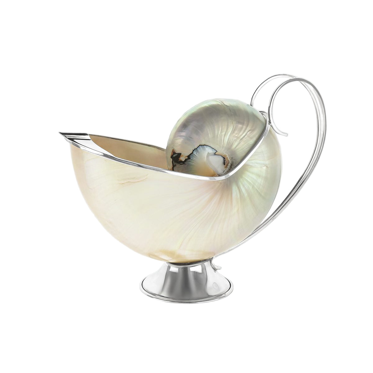 Turbo Shell Gravy Boat