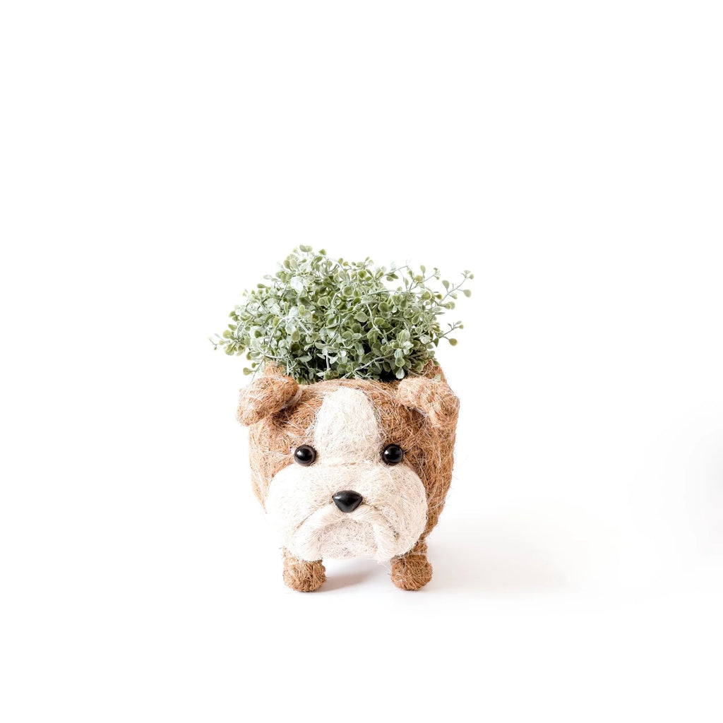 Handcrafted English Bulldog Animal Planter