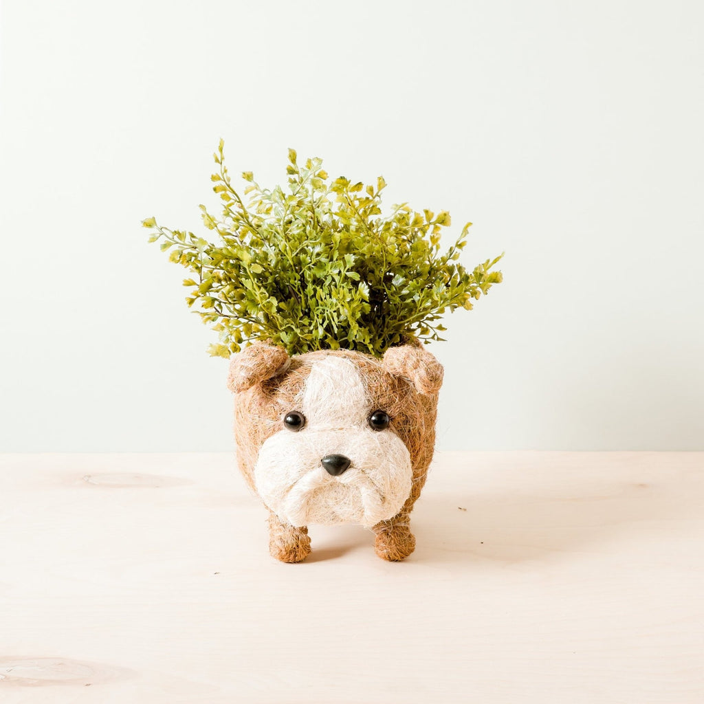 Handcrafted English Bulldog Animal Planter