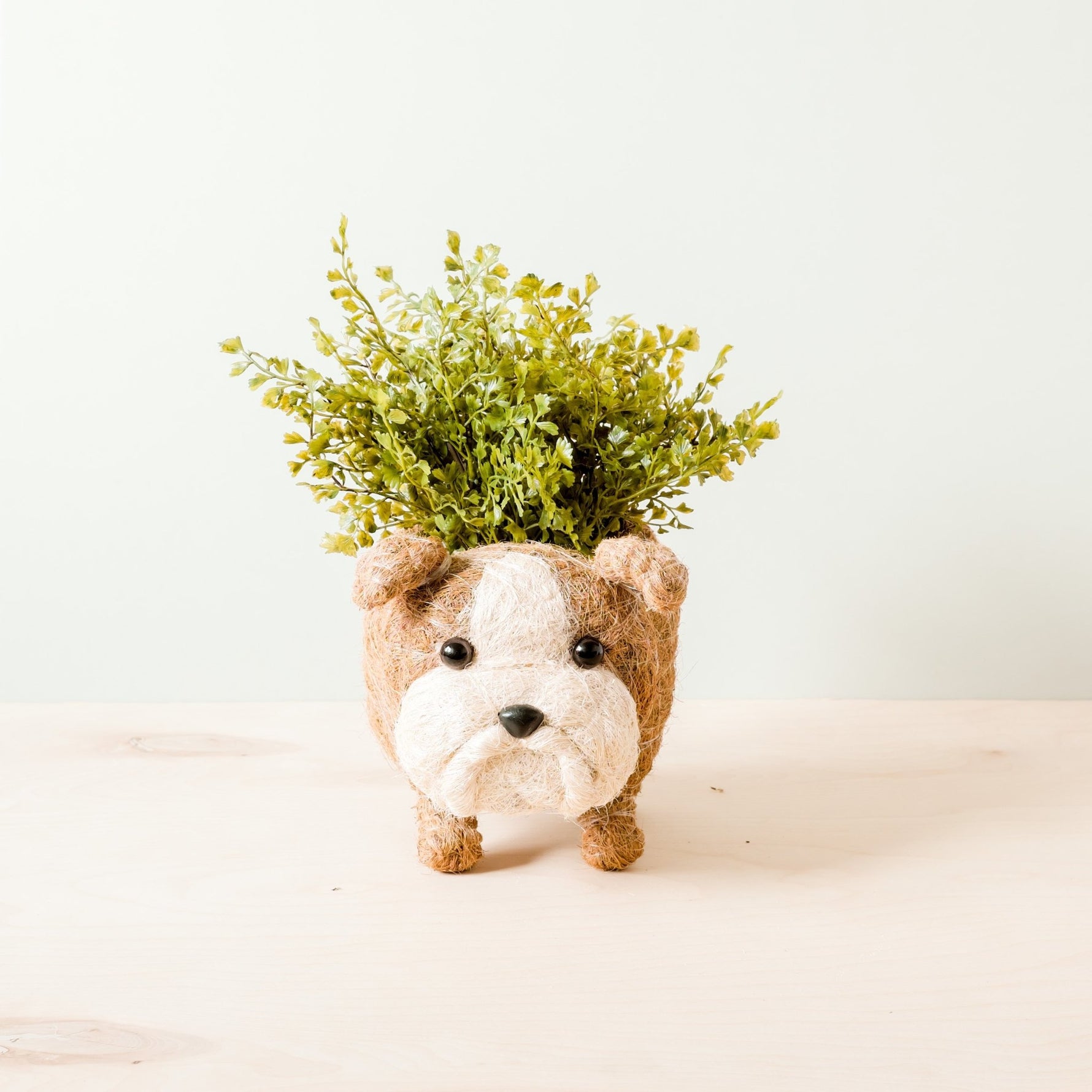 Handcrafted English Bulldog Animal Planter