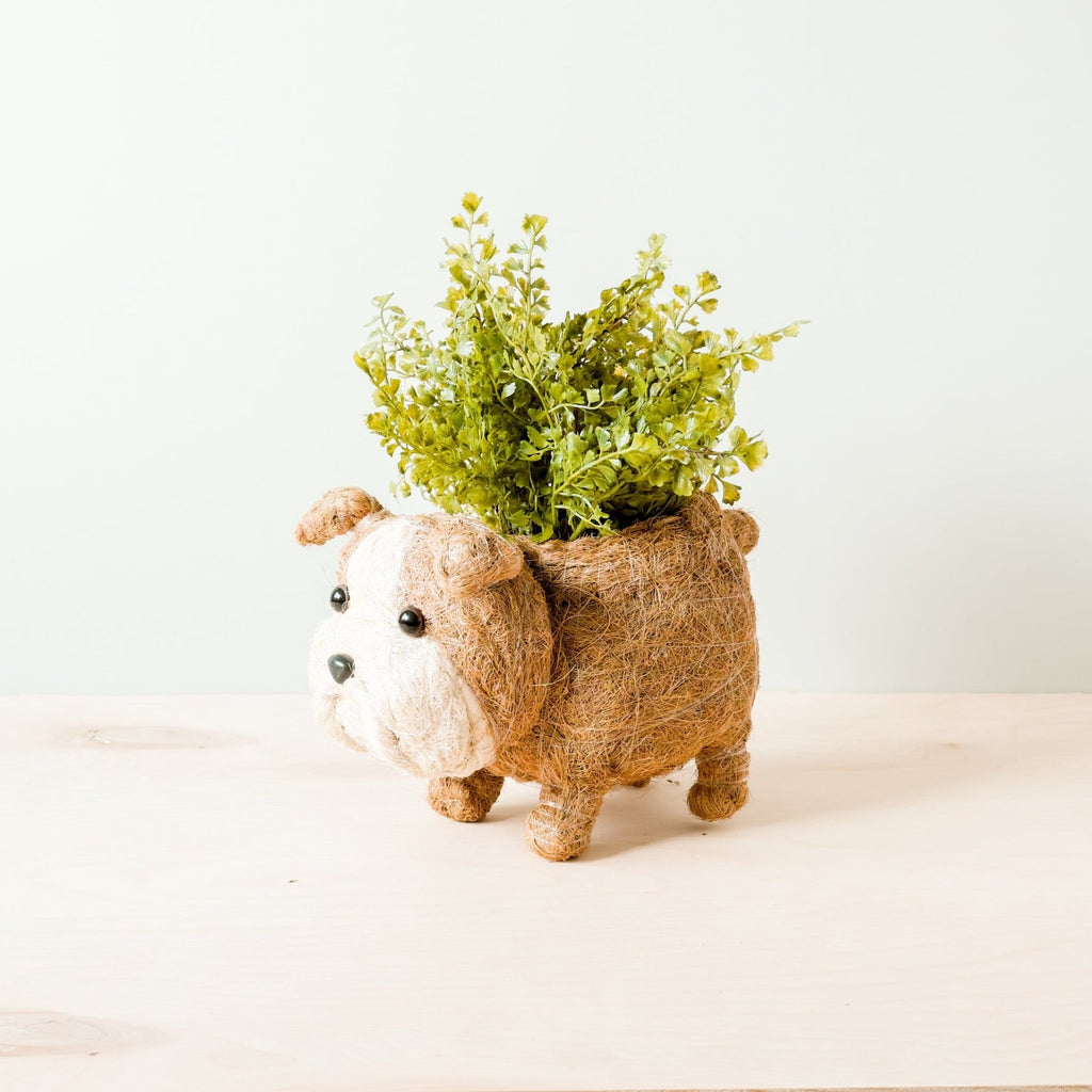Handcrafted English Bulldog Animal Planter