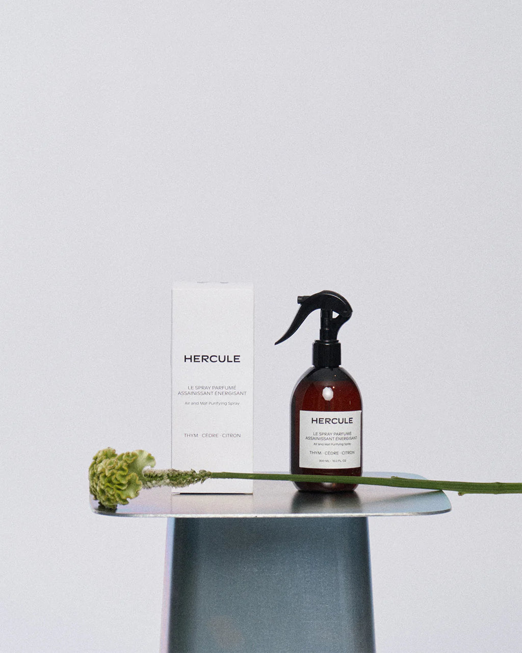 Air & Mat Purifying Spray