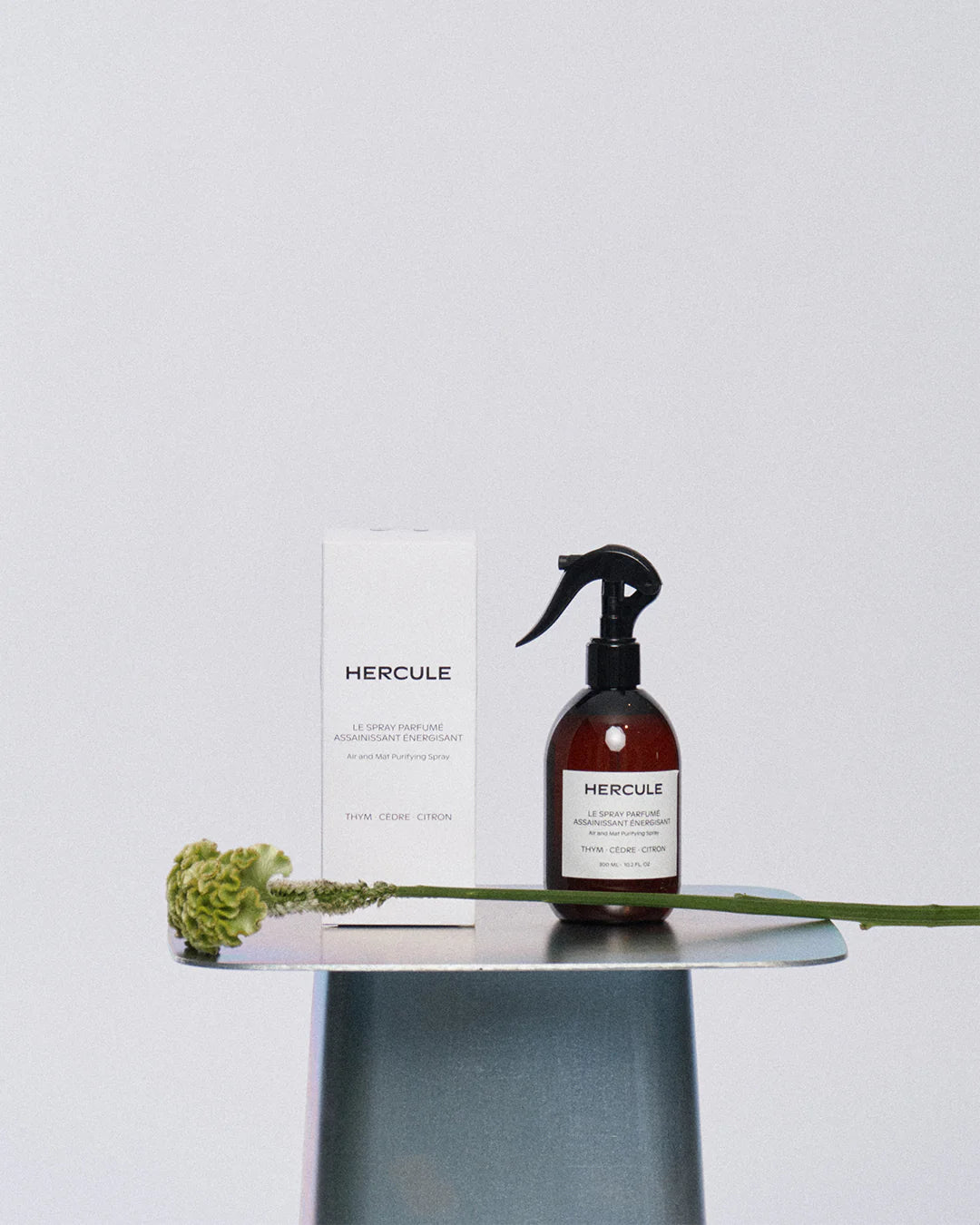 Air & Mat Purifying Spray